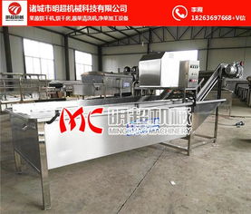 芥菜清洗机选购指南 为何明超机械备受青睐？