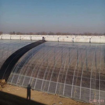 温室大棚薄膜 选择与维护的最佳指南