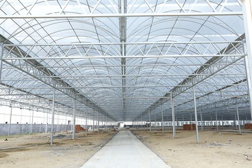 连栋薄膜温室 现代高效农业建设选择