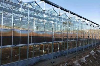 大棚薄膜 现代农业的“隐形守护者”