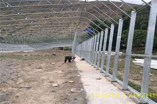 冬暖式双层膜温室大棚 栓装工艺在九原大棚薄膜中的应用