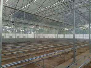 双层充气薄膜温室大棚 技术特点与工作原理详解