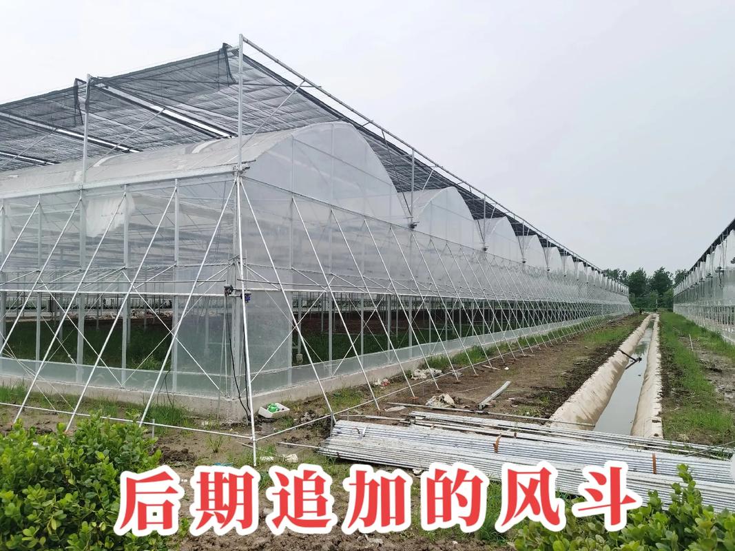 探访京东农业科技园 风斗连栋薄膜大棚如何以技术创新赋能现代农业