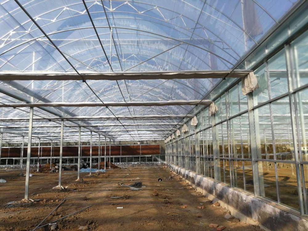 双层膜温室大棚的优势与山东专业生产厂家推荐