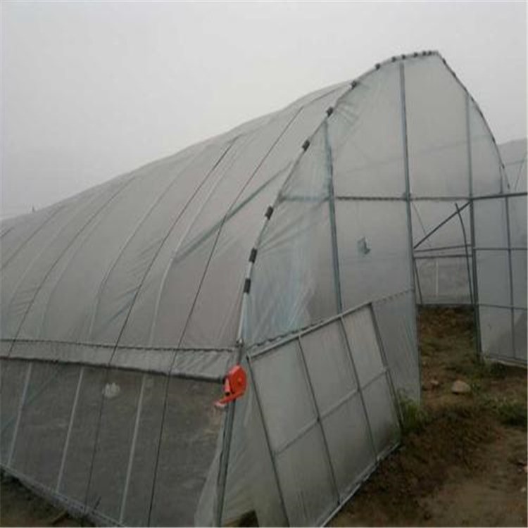 福建大棚薄膜供货厂家与海盐蔬菜大棚建设 旭航温室打造专业农业设施解决方案