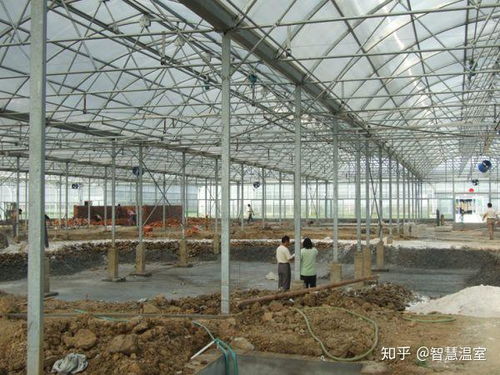 现代设施农业的基石 薄膜连栋温室大棚全面解析