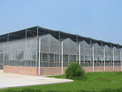 温室大棚薄膜 价格分级的背后，是用户需求的精准匹配