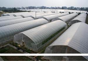 塑料薄膜在现代农业与生活中的多功能应用