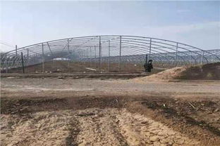 延安薄膜连栋大棚建造公司 一站式服务的现代农业解决方案